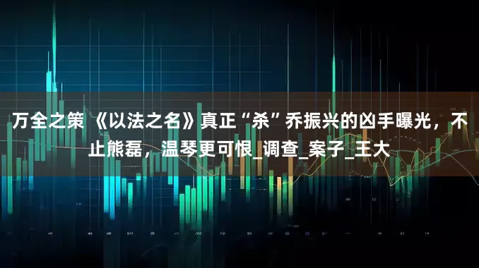万全之策 《以法之名》真正“杀”乔振兴的凶手曝光，不止熊磊，温琴更可恨_调查_案子_王大