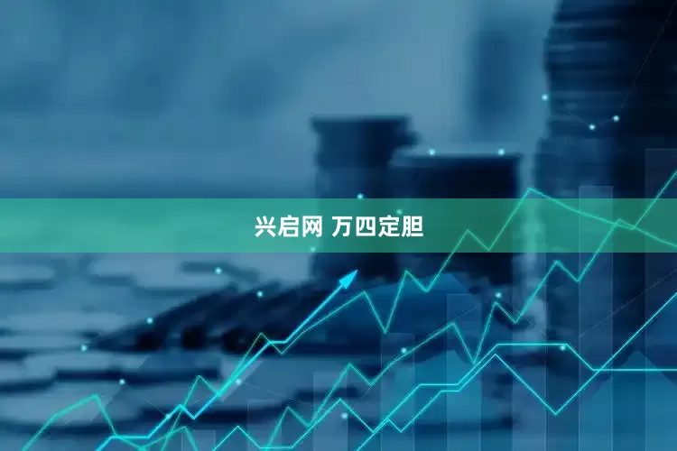 兴启网 万四定胆