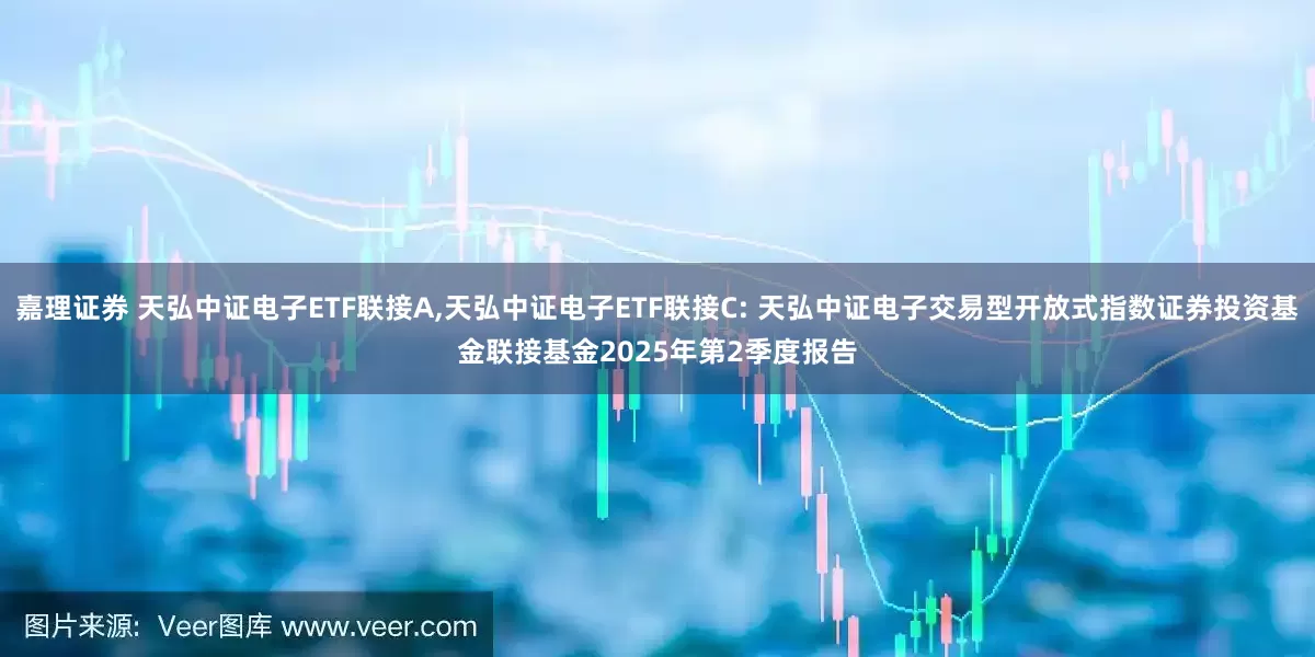 嘉理证券 天弘中证电子ETF联接A,天弘中证电子ETF联接C: 天弘中证电子交易型开放式指数证券投资基金联接基金2025年第2季度报告