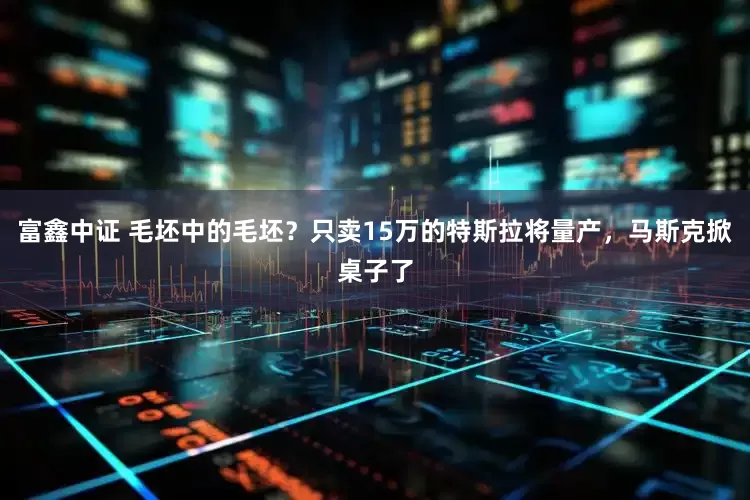 富鑫中证 毛坯中的毛坯？只卖15万的特斯拉将量产，马斯克掀桌子了