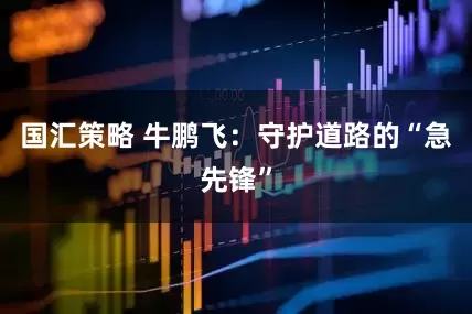 国汇策略 牛鹏飞：守护道路的“急先锋”