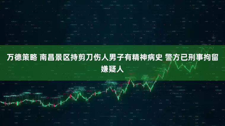 万德策略 南昌景区持剪刀伤人男子有精神病史 警方已刑事拘留嫌疑人