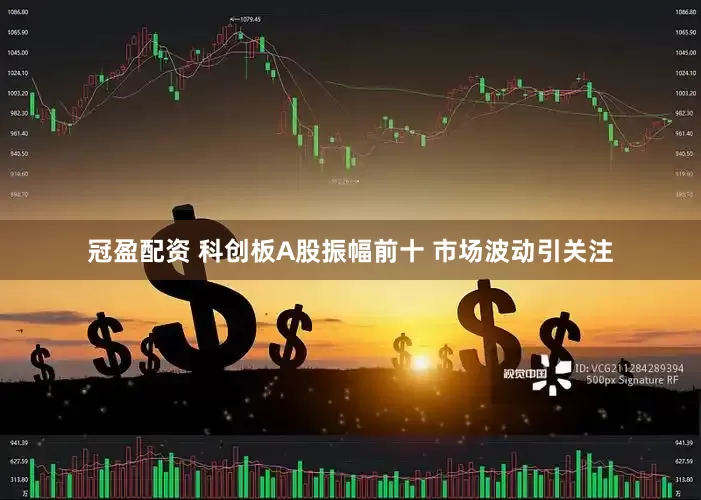 冠盈配资 科创板A股振幅前十 市场波动引关注