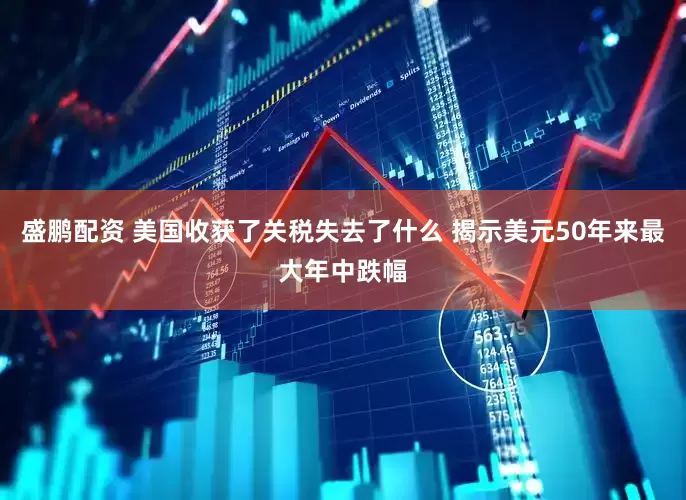 盛鹏配资 美国收获了关税失去了什么 揭示美元50年来最大年中跌幅