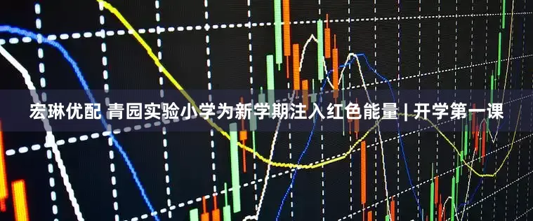 宏琳优配 青园实验小学为新学期注入红色能量 | 开学第一课