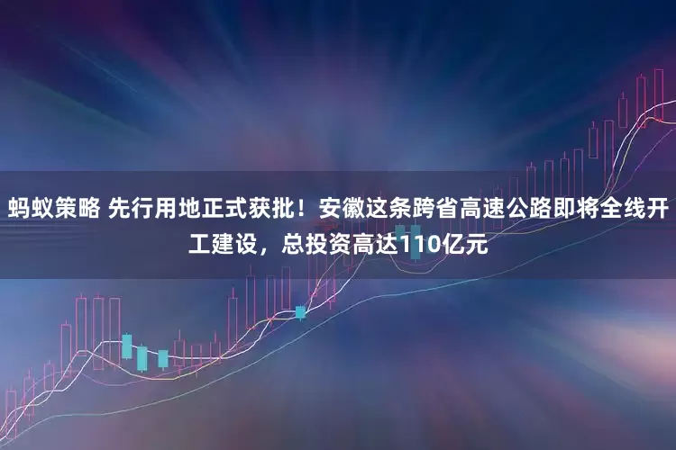 蚂蚁策略 先行用地正式获批！安徽这条跨省高速公路即将全线开工建设，总投资高达110亿元